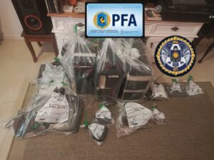 Operativo internacional contra la pedofilia: allanaron domicilios en San Luis y otras 16 provincias