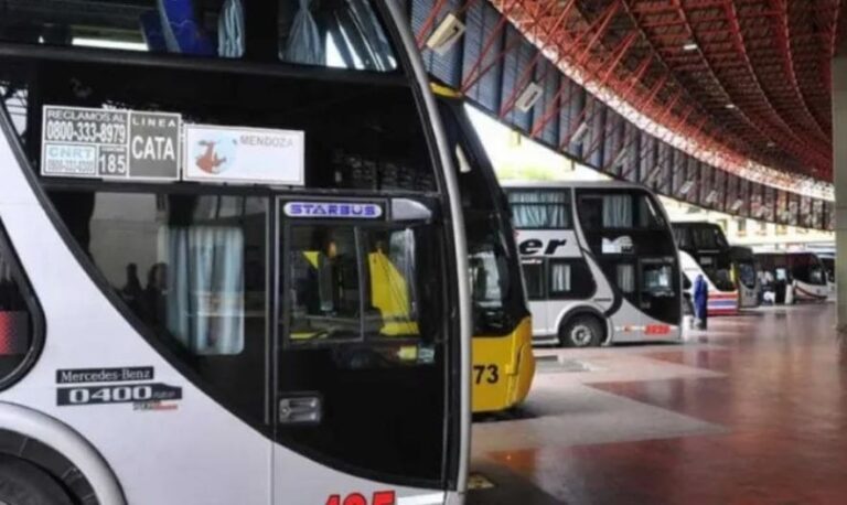 Presentan un proyecto para restituir subsidios al transporte de personas con discapacidad