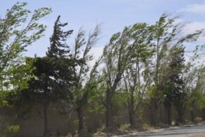 Rige una alerta meteorológica por fuertes vientos para la provincia