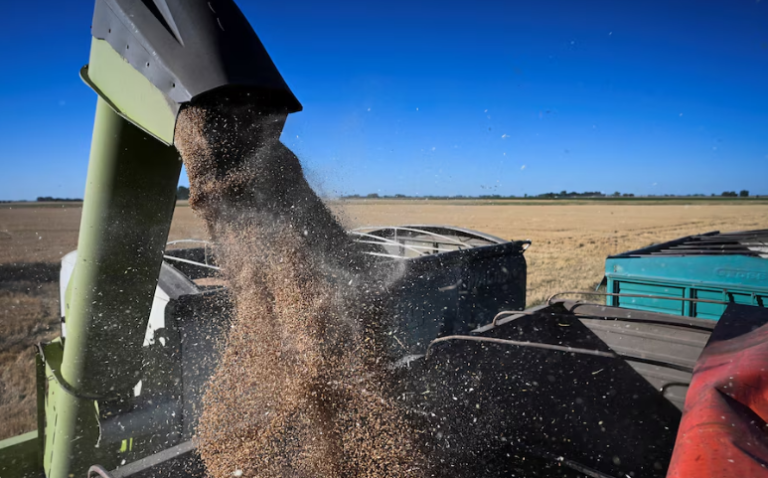 Retenciones: oficializan baja para agro y biocombustibles