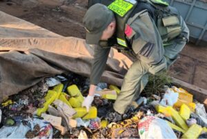 Gendarmería secuestró 24 kilos de marihuana en Misiones