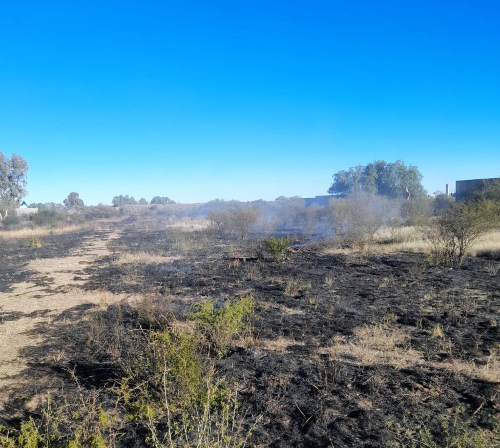 Bomberos sofocaron un incendio de malezas en un descampado detrás del Tiro Federal