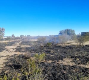 Bomberos sofocaron un incendio de malezas en un descampado detrás del Tiro Federal