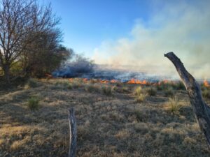 Controlaron un incendio forestal en el paraje Cerrito Blanco y no hubo heridos