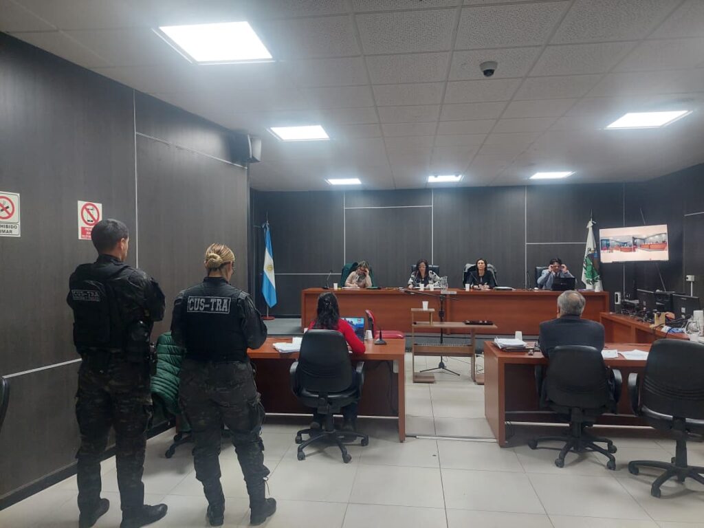 Fiscalía pide 10 años de cárcel, defensa pide absolución: finaliza el juicio por el feroz ataque a una mujer