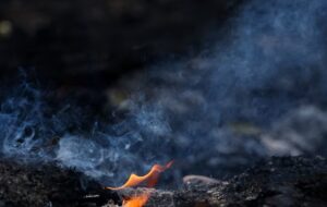 Incendios en Europa: el calor extremo agrava la crisis