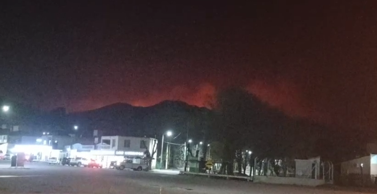 Vecina de Estancia Grande: «Hubo vecinos que salieron con baldes y trapos para frenar el fuego»