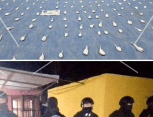 Secuestran droga, armas de fuego, vehículos y detienen a dos hombres en Villa Mercedes  