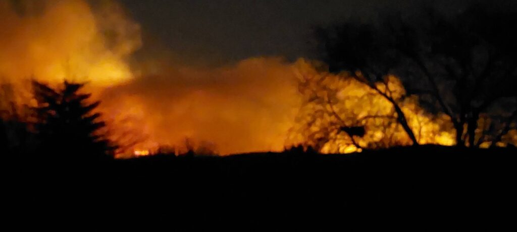 VIDEO | Incendio de gran magnitud en Estancia Grande: investigan si fue provocado