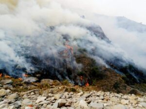 VIDEO | Continúa el incendio forestal en Estancia Grande y hay familias evacuadas