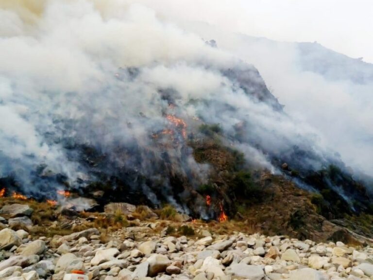 VIDEO | Continúa el incendio forestal en Estancia Grande y hay familias evacuadas