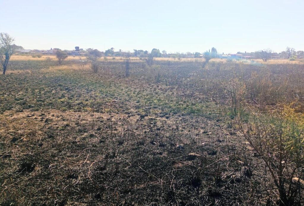 Controlaron un incendio de malezas y residuos en un descampado de San Luis