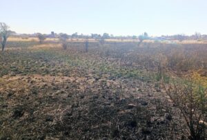 Controlaron un incendio de malezas y residuos en un descampado de San Luis