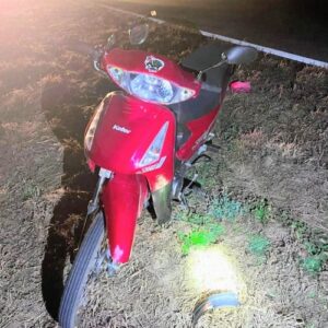 Un motociclista chocó contra un jabalí en la ruta 146 y fue hospitalizado