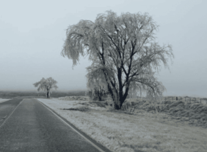San Luis: la ola polar se extenderá hasta el sábado y refuerzan medidas de prevención en rutas 