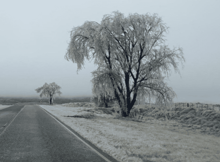 San Luis: la ola polar se extenderá hasta el sábado y refuerzan medidas de prevención en rutas 