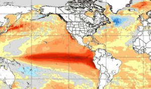 La ONU confirmó que el El Niño será muy poderoso y podría generar eventos extremos
