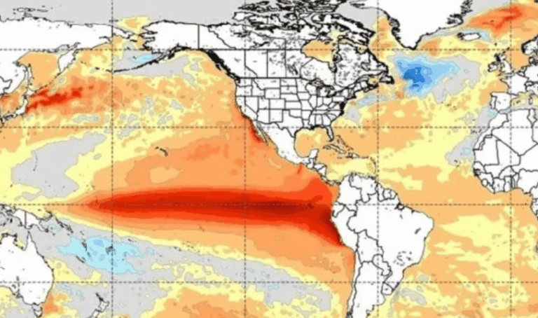 La ONU confirmó que el El Niño será muy poderoso y podría generar eventos extremos