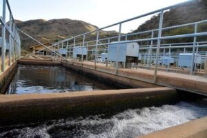 Corte de agua: aseguran que Aguada II no recibe «ni un litro» para abastecer el sur de San Luis