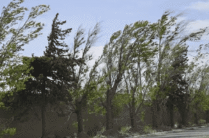 Anuncian ráfagas de más de 70 km/h y un inusual ascenso de temperaturas en San Luis