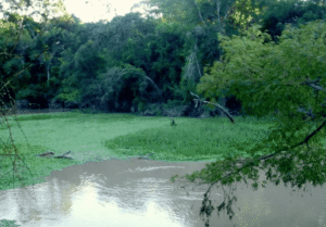 Reserva Natural: un refugio que protege 10.000 hectáreas del Chaco Semiárido entre los ríos Bermejo y Teuquito