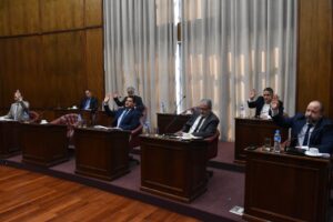 El Senado dio media sanción al RIPEE, el régimen de promoción de inversiones y empleo de Poggi