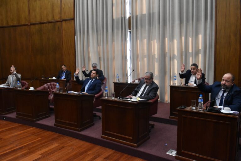 El Senado dio media sanción al RIPEE, el régimen de promoción de inversiones y empleo de Poggi