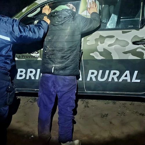 Caza ilegal en Villa Mercedes: secuestraron armas, perros y una vizcacha