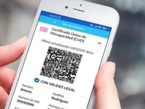 VIDEO | Le negaron el ascenso a un colectivo interurbano por el supuesto “cupo” para discapacidad