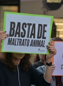 Marcharon contra el maltrato animal en San Luis: pidieron justicia y más protección