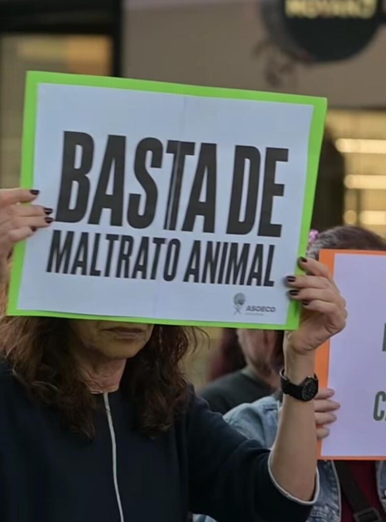 Marcharon contra el maltrato animal en San Luis: pidieron justicia y más protección