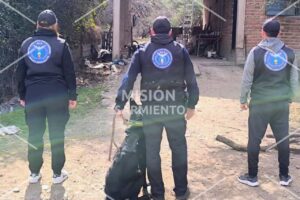 Carpintería: secuestraron marihuana valuada en $8,5 millones