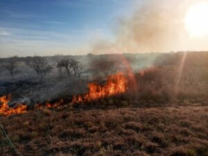 Bomberos sofocaron un incendio en la ruta 146 que fue provocado por un vehículo