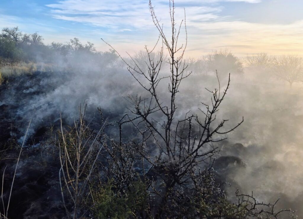 Controlaron tres incendios de pastizales en La Punta, La Toma y San Luis este fin de semana