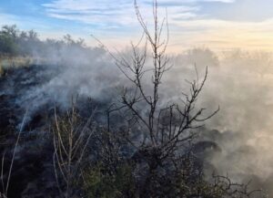Controlaron tres incendios de pastizales en La Punta, La Toma y San Luis este fin de semana