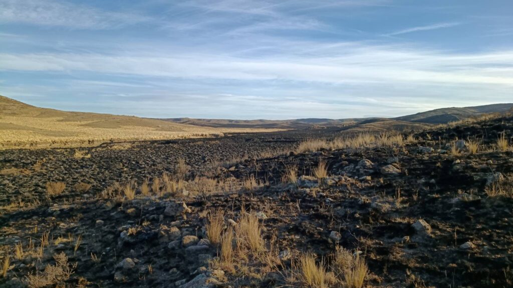 Incendios en La Carolina y El Volcán fueron contenidos