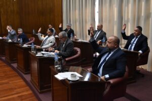El Senado dio media sanción a la declaración de necesidad de reforma de la Constitución