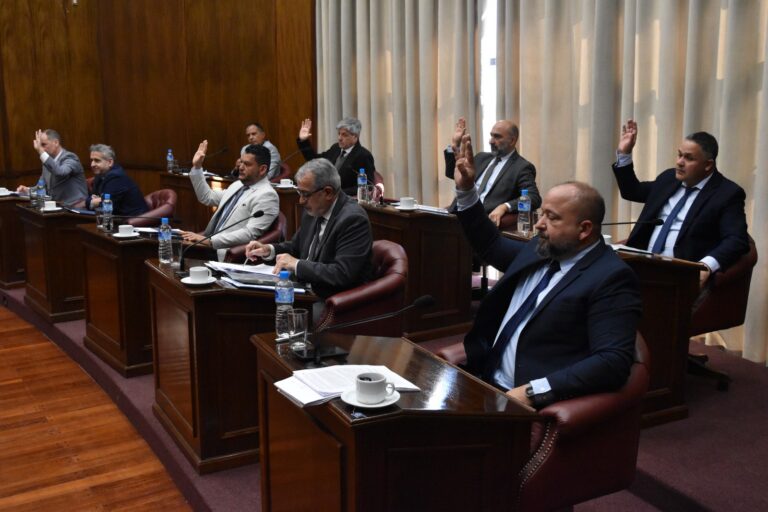 El Senado dio media sanción a la declaración de necesidad de reforma de la Constitución