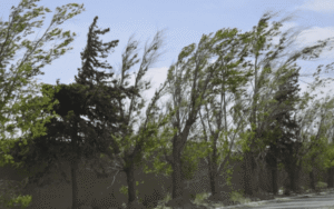 Para este lunes se espera una jornada nublada, ventosa y con descenso de temperaturas en San Luis