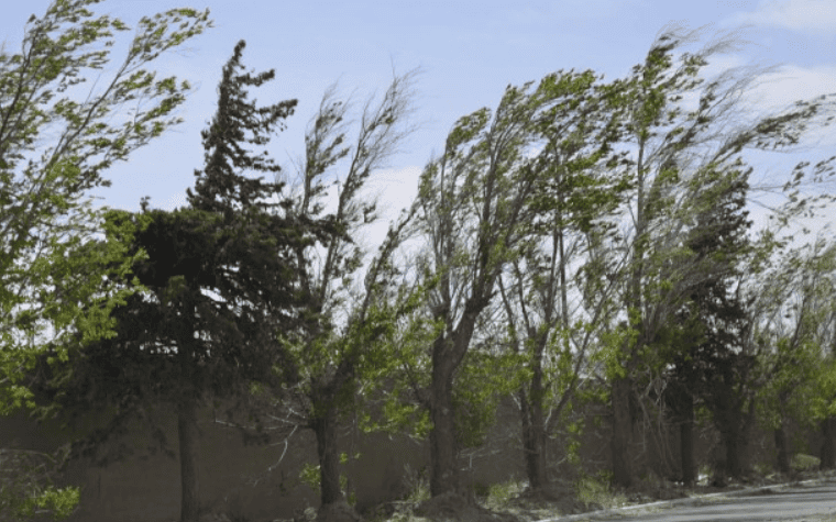 Para este lunes se espera una jornada nublada, ventosa y con descenso de temperaturas en San Luis