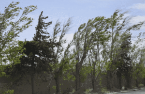 Advierten por ráfagas de hasta 70 km/h y lluvias aisladas en San Luis