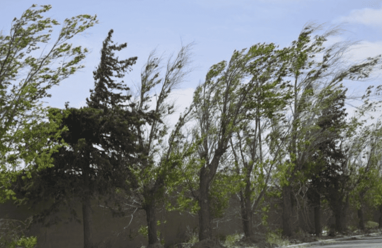 Advierten por ráfagas de hasta 70 km/h y lluvias aisladas en San Luis
