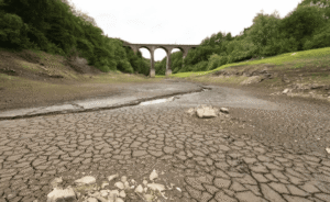 Inglaterra declara sequía en más de la mitad del país: ríos secos, cosechas adelantadas y restricciones de agua