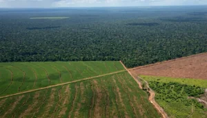 Ley de Tierras: los cambios que el Gobierno aceptó para destrabar el debate en el Senado