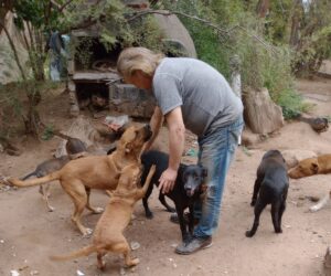 Arka Refugio atraviesa una crisis y organiza una rifa solidaria para sostener a 40 animales