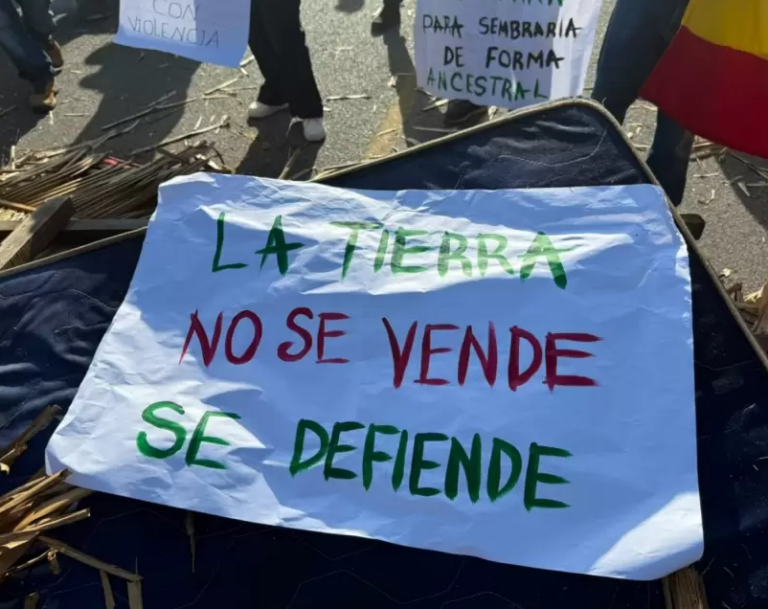 La Corte Suprema falló sobre la derogación de la Ley de Tierras