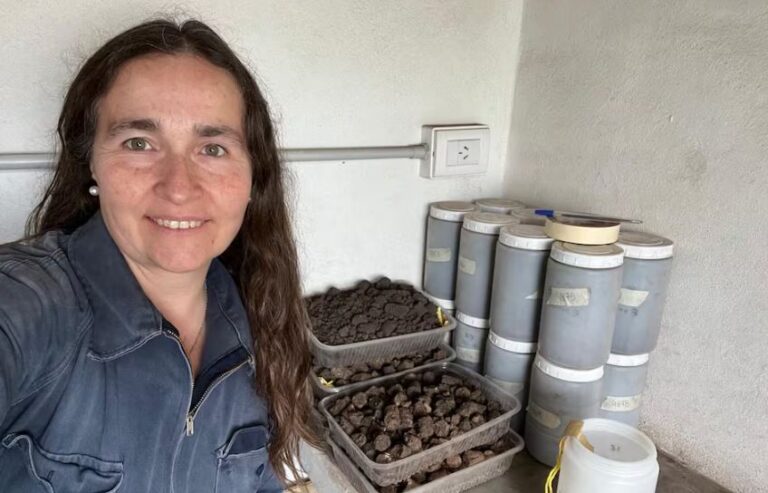 La científica del INTA acosada por revelar el impacto de los plaguicidas en Argentina