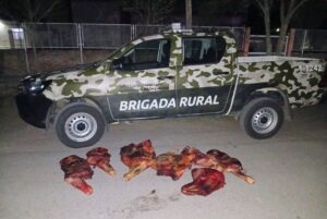 Beazley: detuvieron a dos personas y decomisaron carne vacuna sin documentación