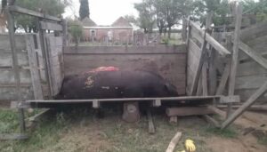 VIDEO | Productores de Justo Daract vuelven a reclamar por la inseguridad en los campos: “Hay robos diarios”