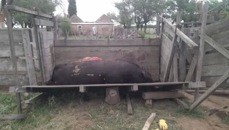 VIDEO | Productores de Justo Daract vuelven a reclamar por la inseguridad en los campos: “Hay robos diarios”